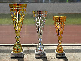 Drei Pokale des Lebenshilfe-Cup 2026 Lüdenscheid stehen nebeneinander auf einem Holzregal: ein goldener für Platz 1, ein silberner für Platz 2 und ein bronzefarbener für Platz 3.