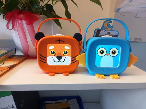 auf dem Bild sieht man zwei Tigerboxen 