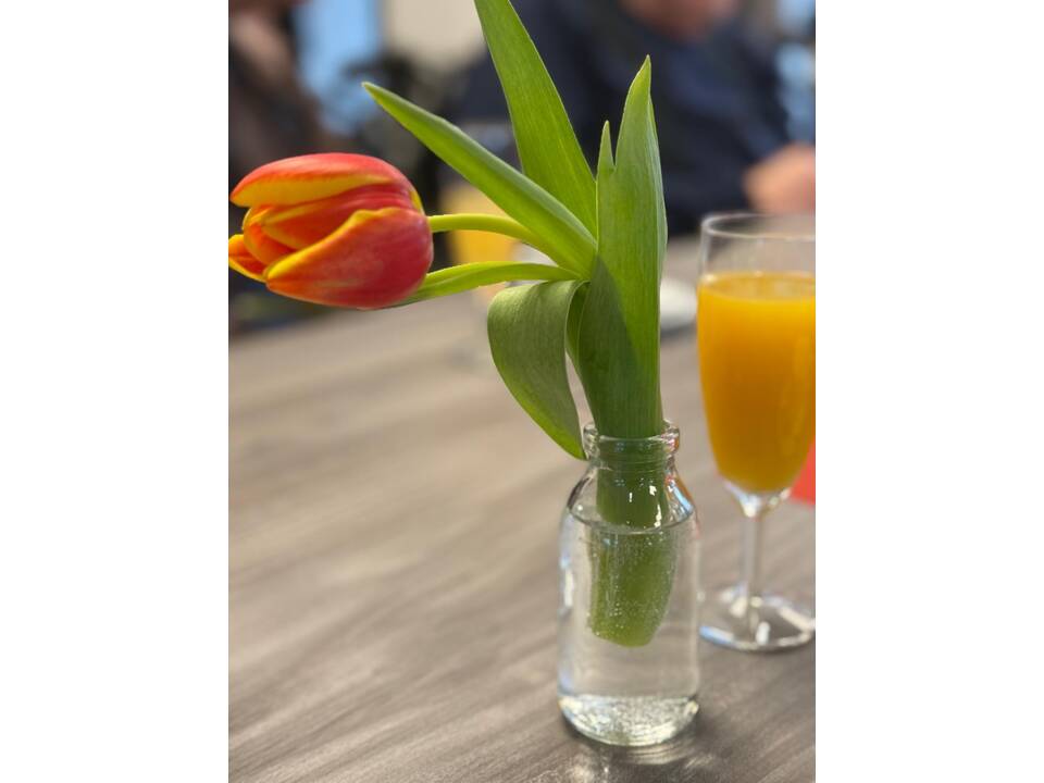 Zu sehen ist eine Tulpe in einer Vase. Daneben steht ein Glas Orangensaft im Sektglas.