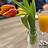 Zu sehen ist eine Tulpe in einer Vase. Daneben steht ein Glas Orangensaft im Sektglas.