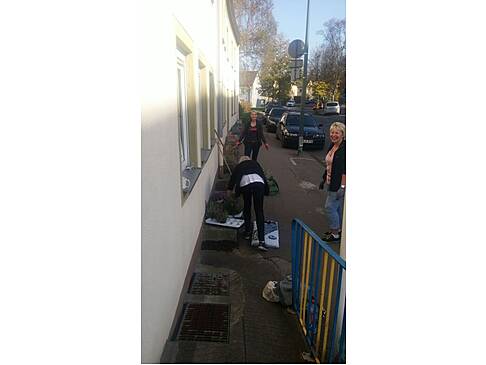 Einpflanzen von Bliumen.