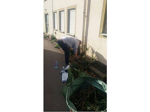 Beete werden bepflanzen.