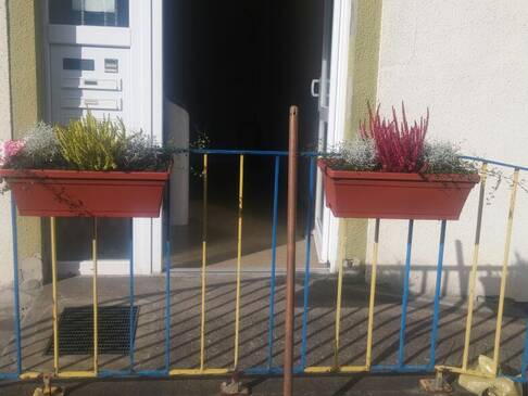 Zwei Blumenkästen an einem Geländer.