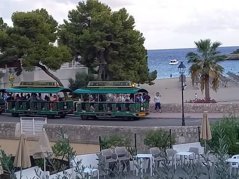 Ein Foto von der Bimmelbahn mit Meer im Hintergrund.