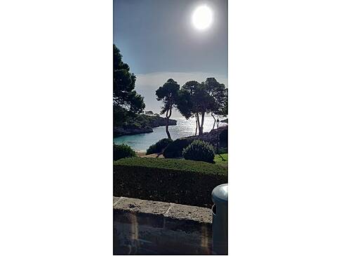 Eine Hecke und das Meer bei Sonnenschein.