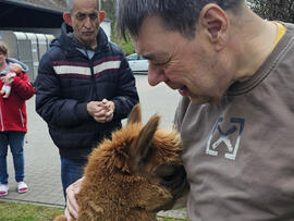 Bild 2